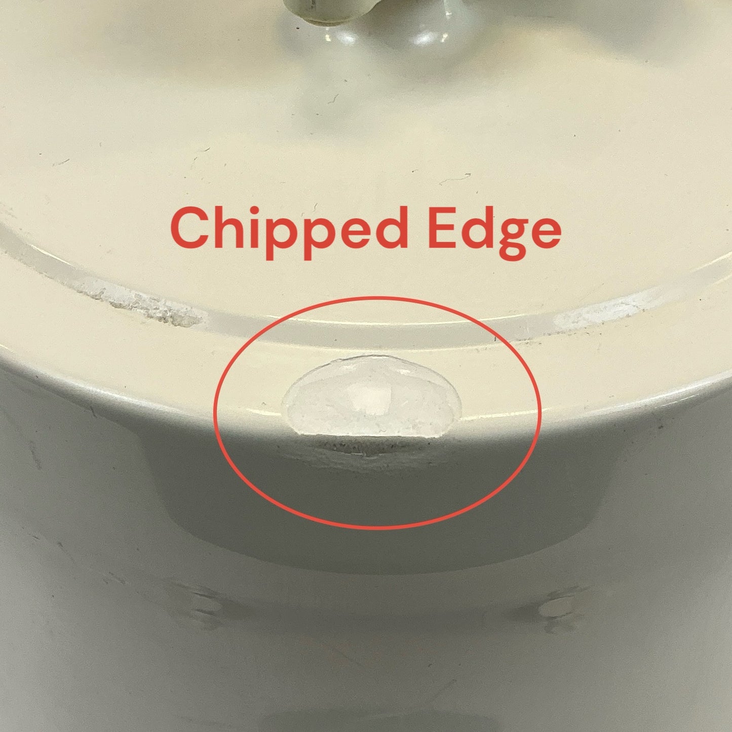 BIA Separations CIMmultus QA-800 cGMP Cat No. 921.5113-2 See Details