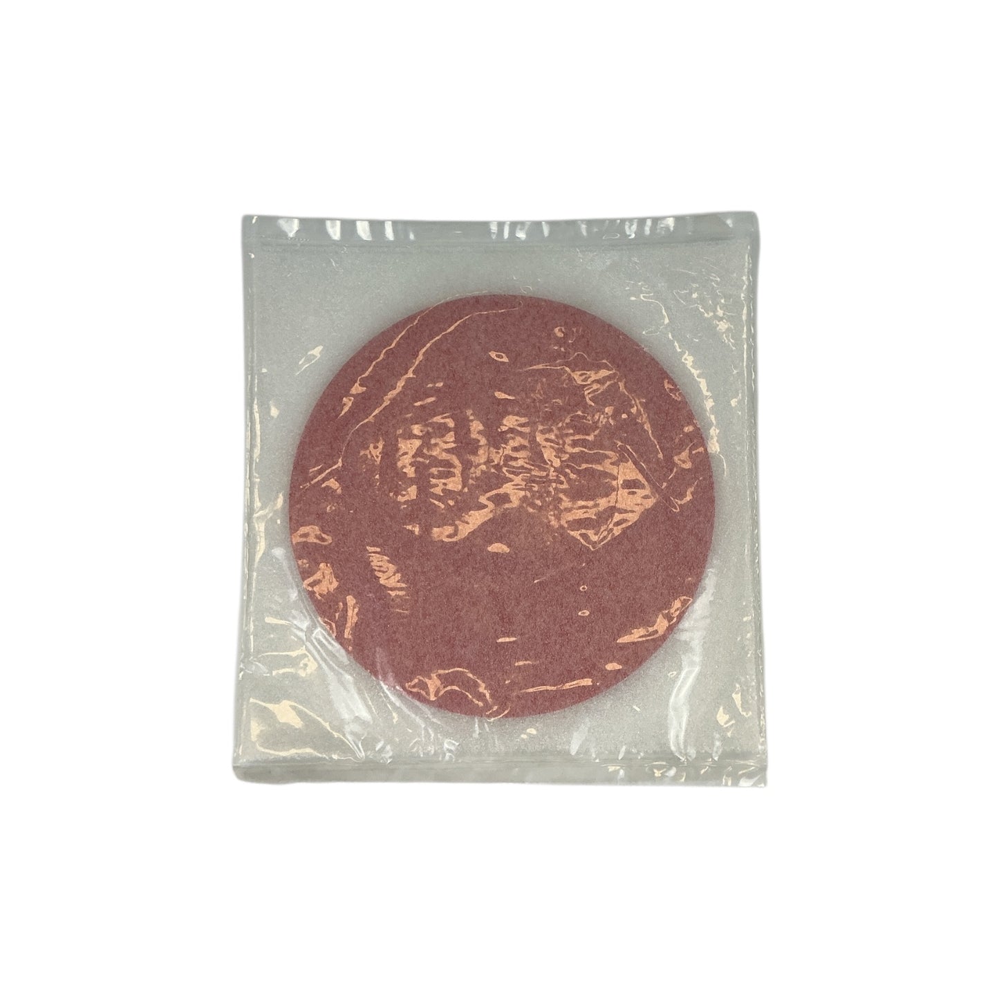 Thermo Fisher 1L Closure Friction Pad 097-1409 Set of 2 (Best Offer!)