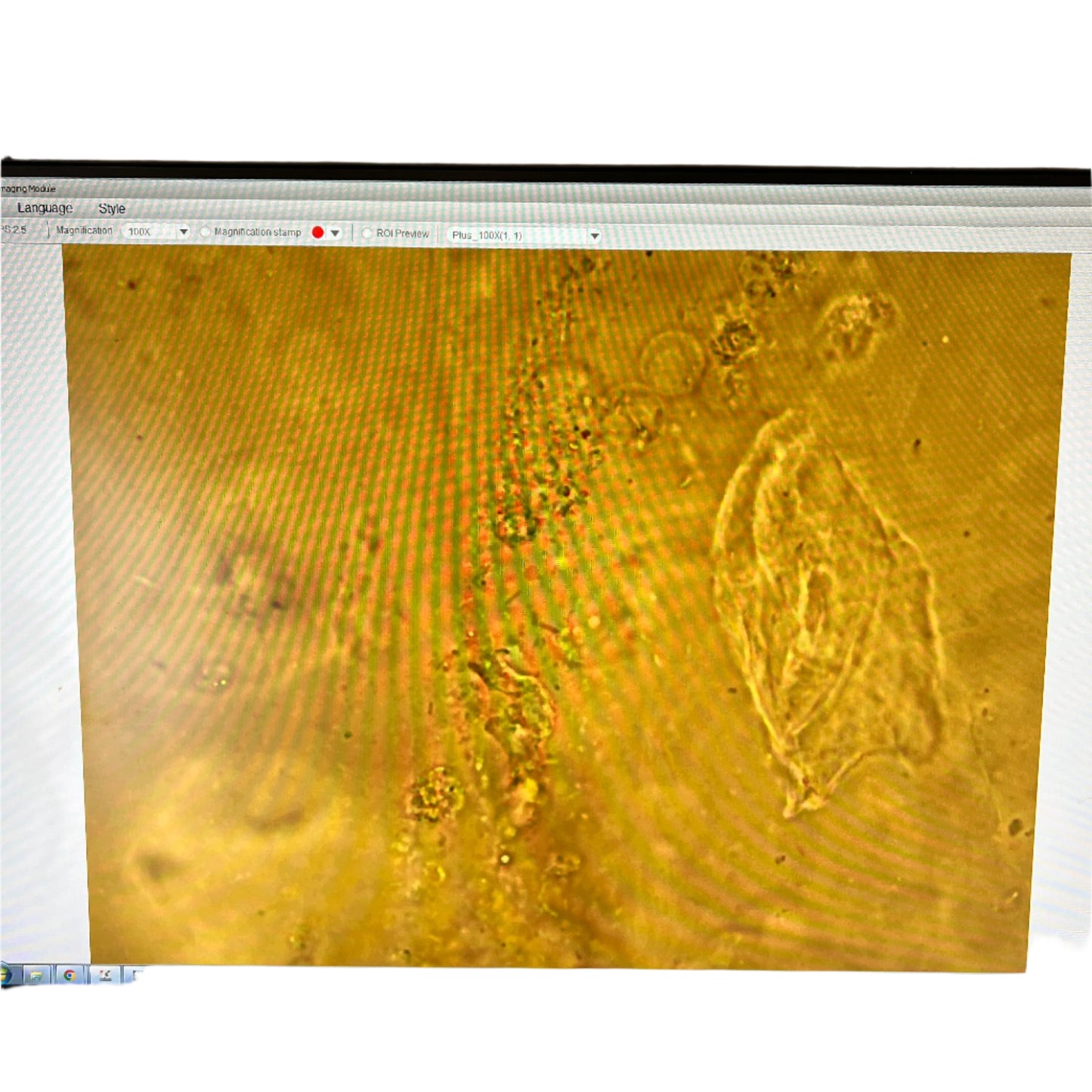 Olympus CX41RF Compound Microscope W/ Motic USB Camera 40x