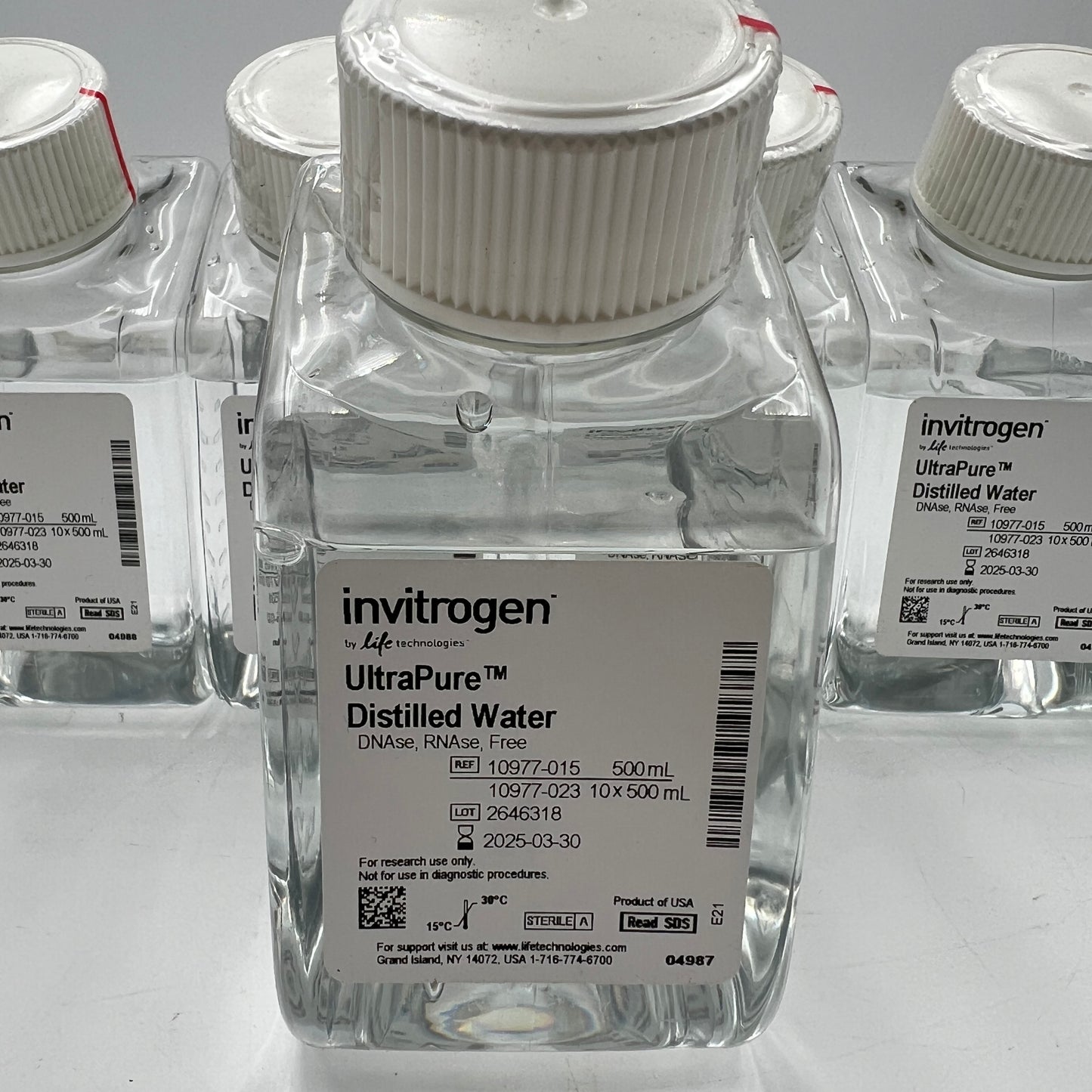 Invitrogen UltraPure Distilled Water 5 x 500ml 5PK EXP 2025-03-30