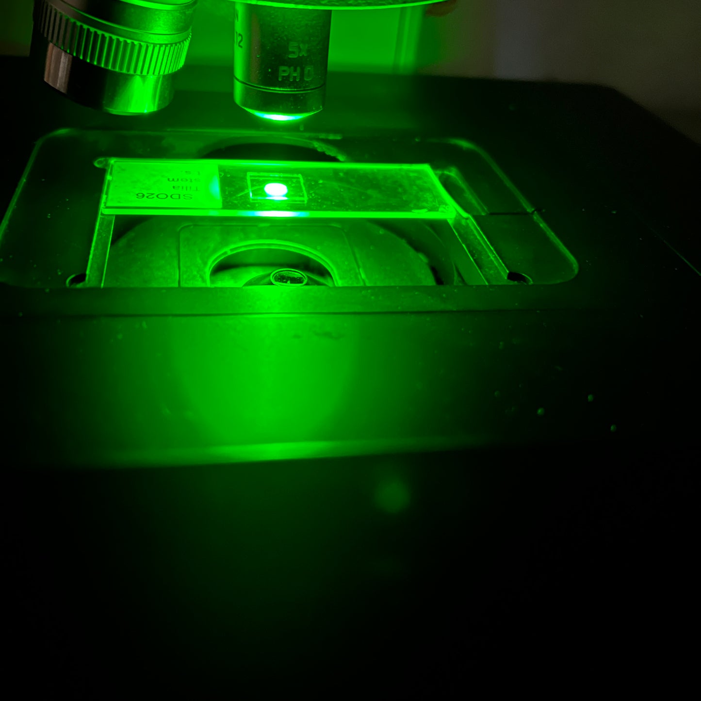 Leica DM6000B Fully Automated Microscope