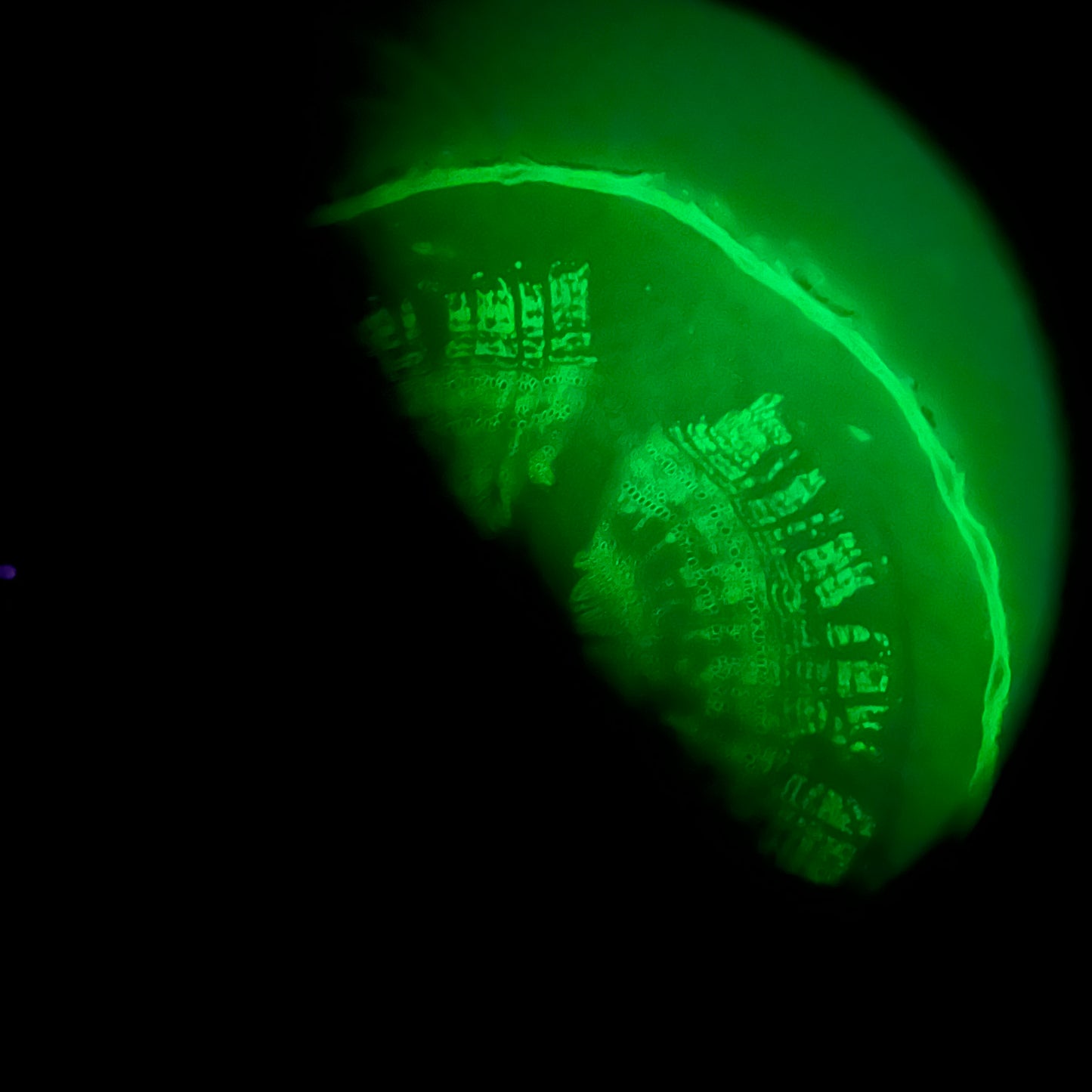 Leica DM6000B Fully Automated Microscope