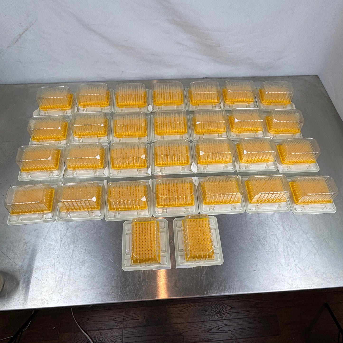 300 µL Eppendorf PCR Clean Filter Tips – Lot of 15 Packages (30 Trays, 2,880 Tips) See Description
