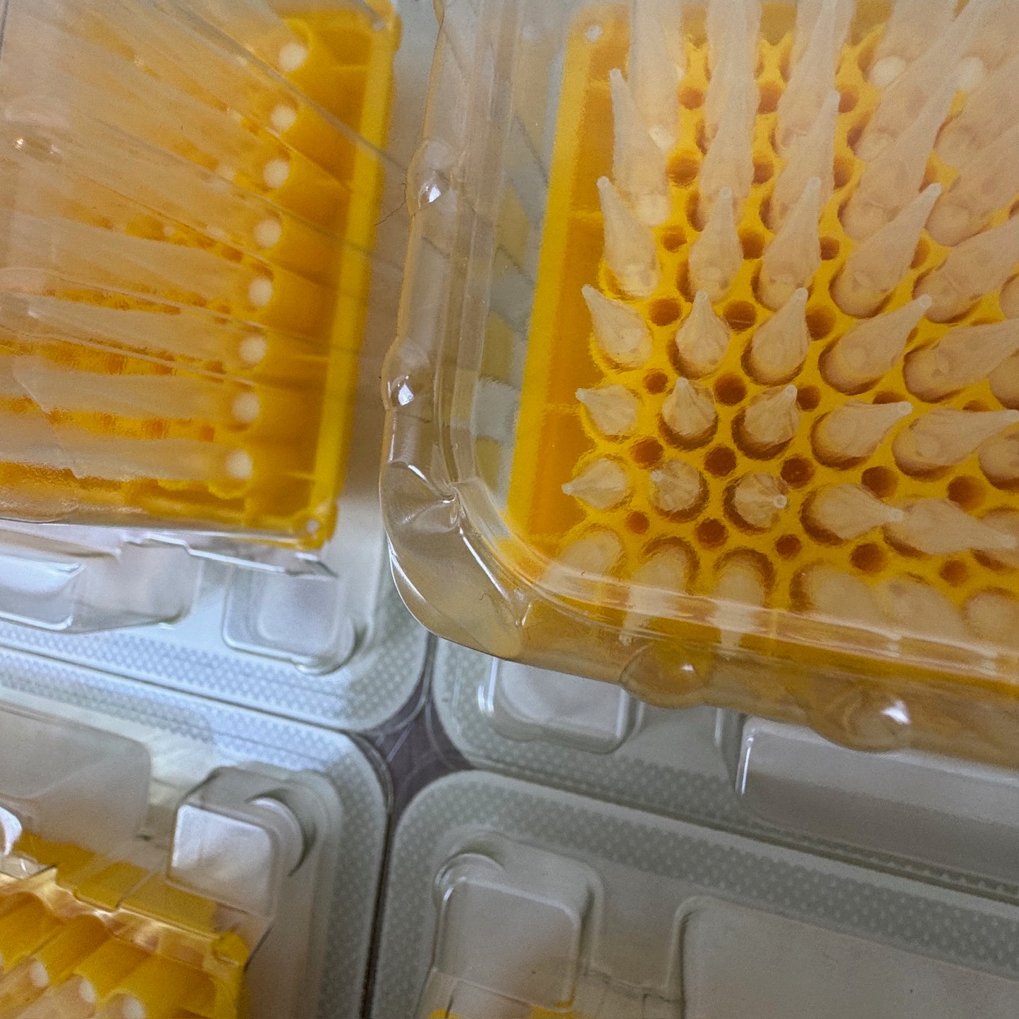 300 µL Eppendorf PCR Clean Filter Tips – Lot of 15 Packages (30 Trays, 2,880 Tips) See Description