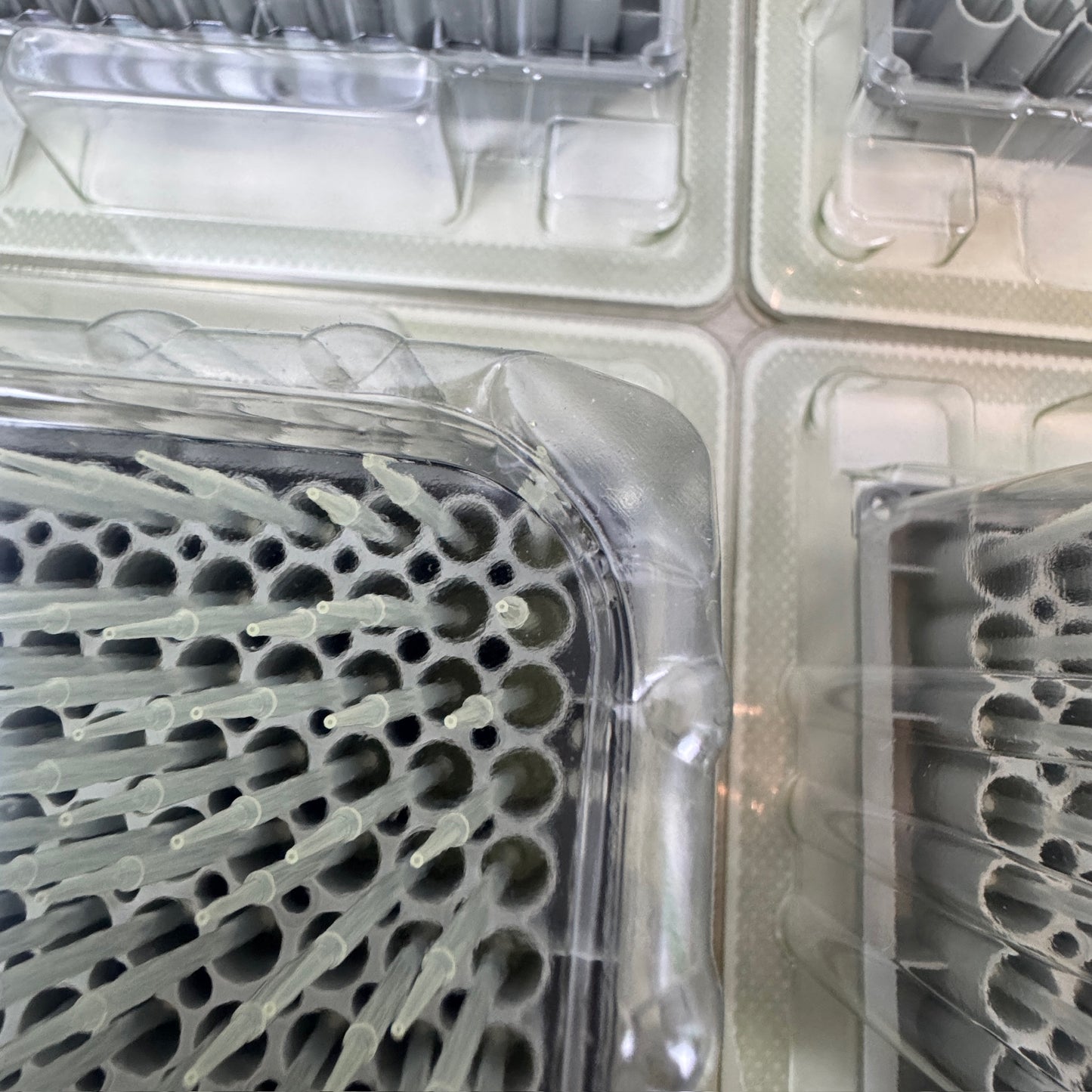 50 µL Eppendorf PCR Clean Filter Tips – Lot of 15 Packages (30 Trays, 2,880 Tips) See Description