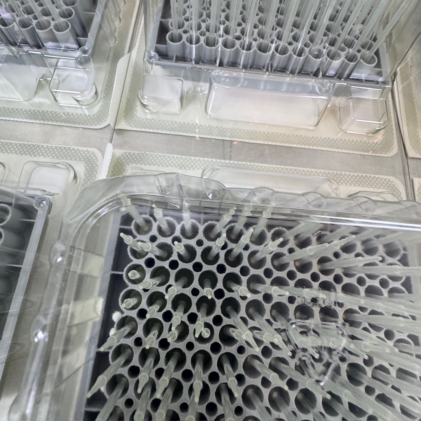50 µL Eppendorf PCR Clean Filter Tips – Lot of 15 Packages (30 Trays, 2,880 Tips) See Description