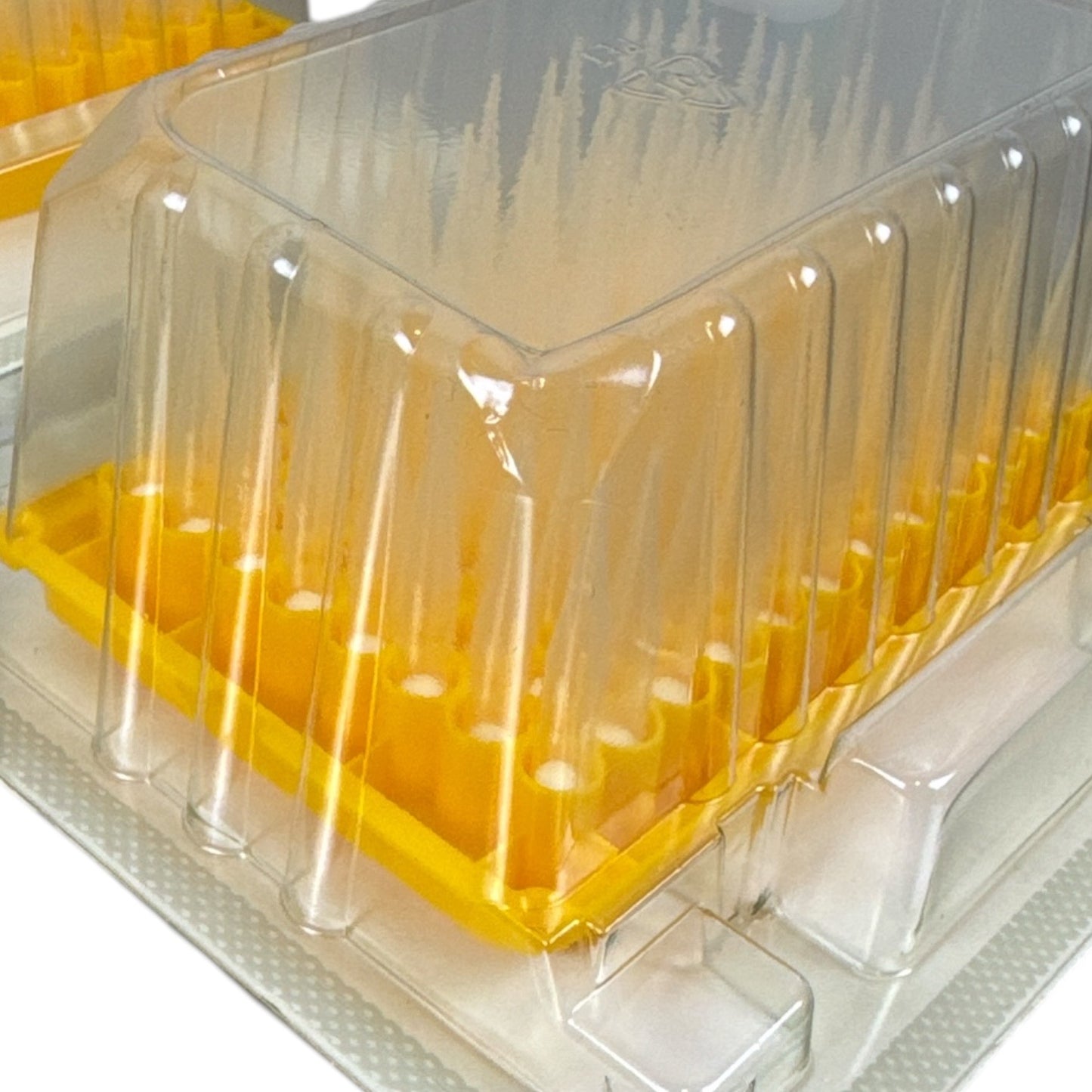 300 µL Eppendorf PCR Clean Filter Tips – Lot of 7 Packages (14 Trays, 1,344 Tips) See Description